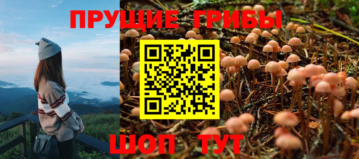 Псилоцибиновые грибы MAGIC MUSHROOMS  Псилоцибиновые грибы Psilocybine cubensis  Протвино  Вход с VPN 