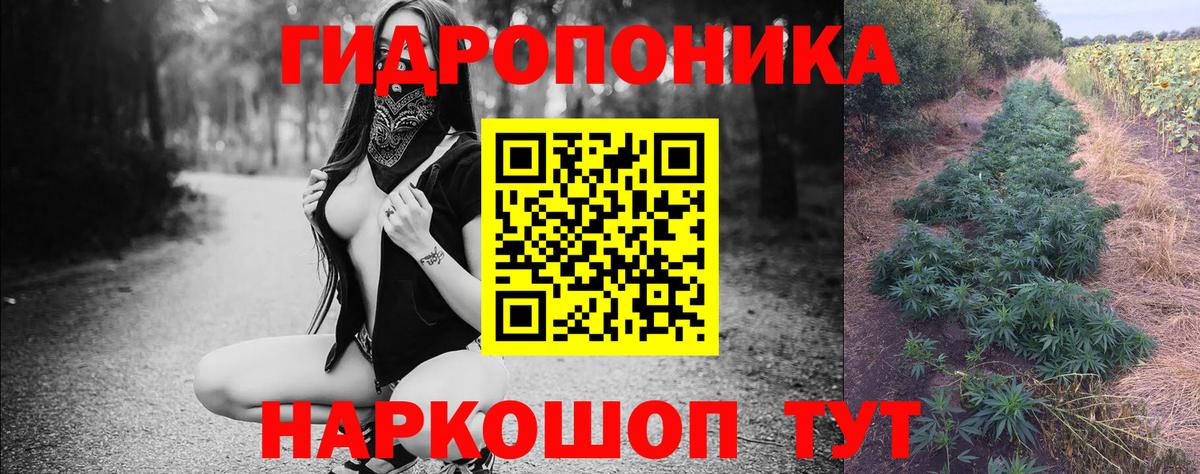 Протвино  Каннабис семена  Канабис ГИДРОПОН  Шишки марихуана SATIVA & INDICA  Вход с VPN 